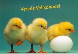 ... zobrazit obrzek v pln velikosti ...